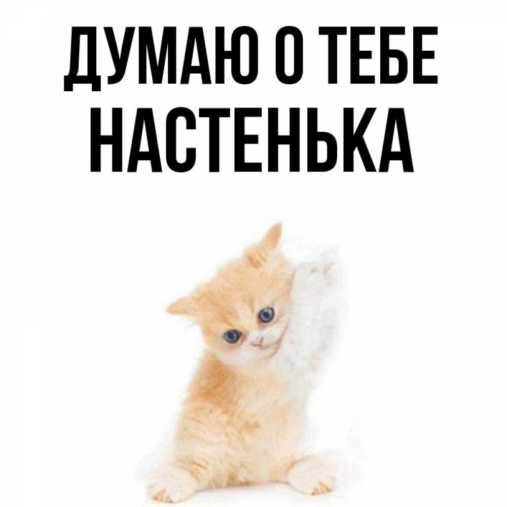 Рисунок, открытки с именем настенька