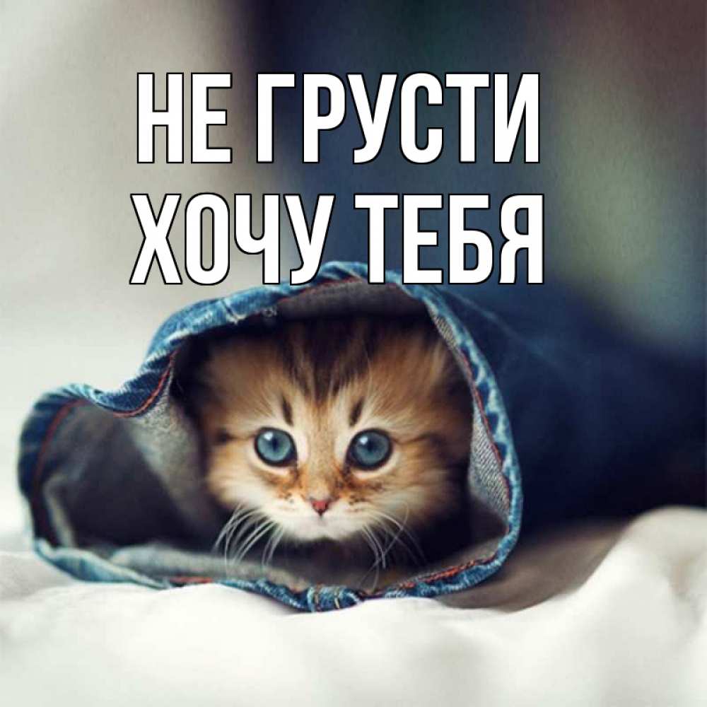Картинка Не грусти, Хочу тебя