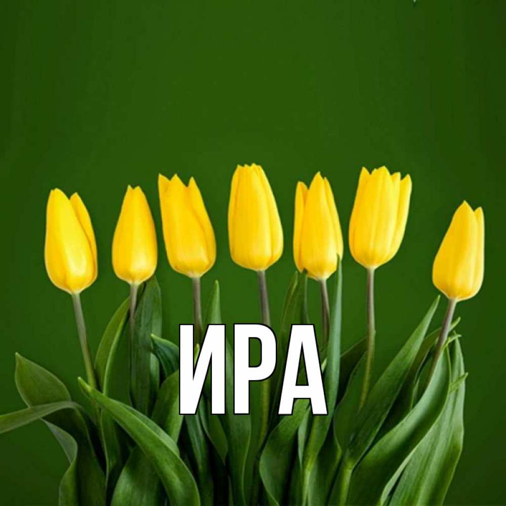 Картинка с именем ира