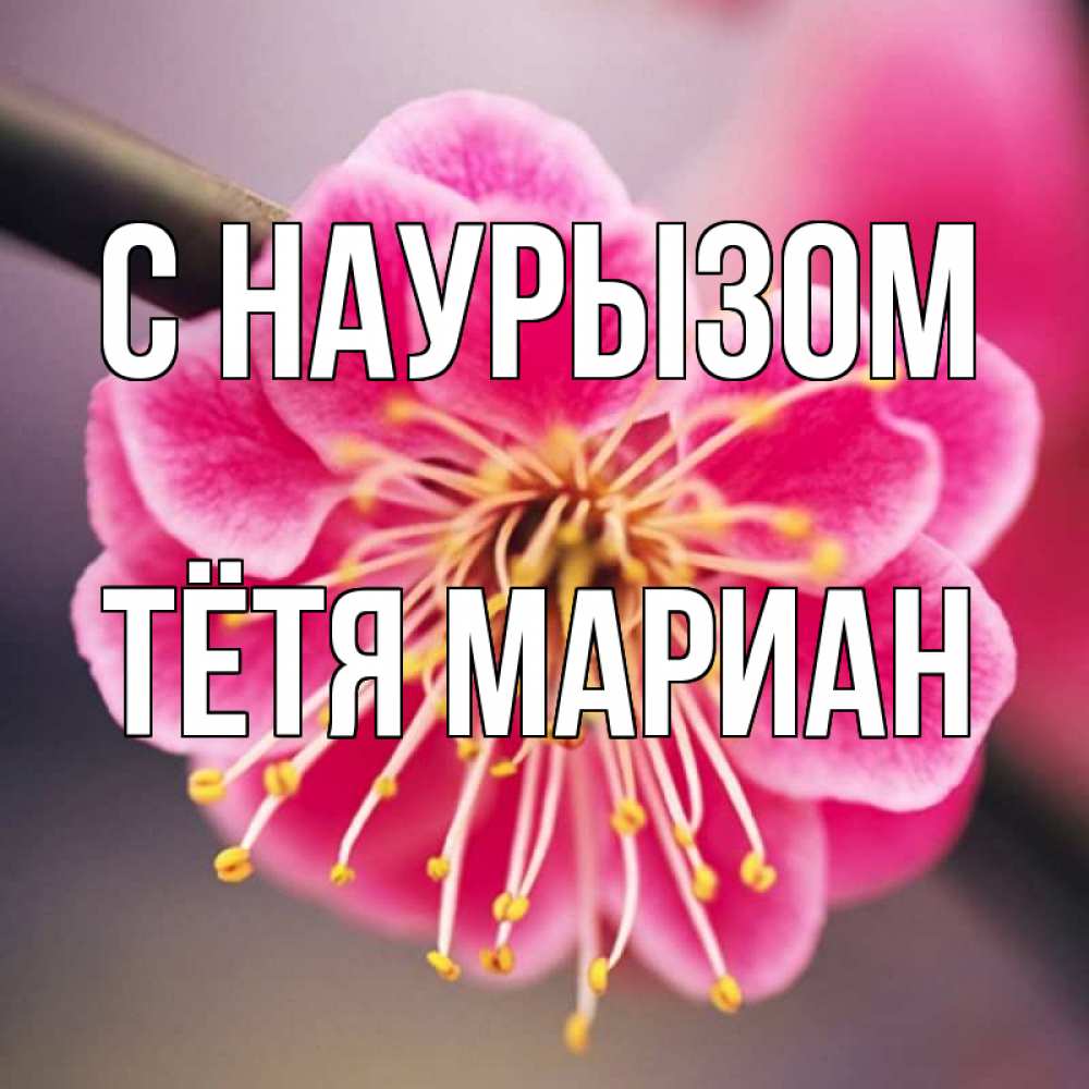 Открытка на каждый день с именем, Тётя-Мариан С наурызом цветы Прикольная открытка с пожеланием онлайн скачать бесплатно 