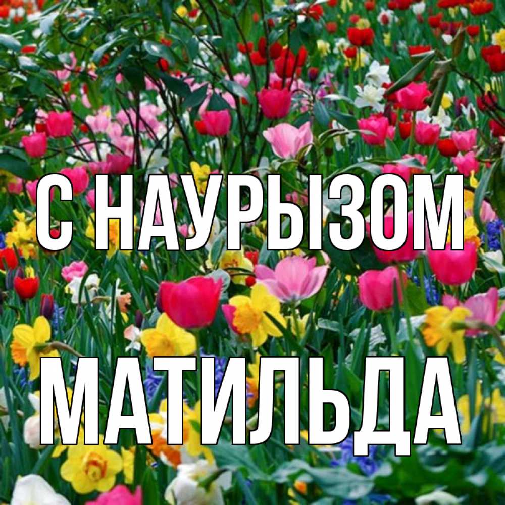 Открытка на каждый день с именем, Матильда С наурызом с наурызом праздником весны поздравления для женщины Прикольная открытка с пожеланием онлайн скачать бесплатно 