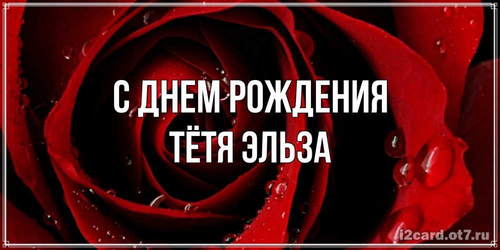 Открытка на каждый день с именем, Тётя-Эльза С днем рождения крупная бордовая роза Прикольная открытка с пожеланием онлайн скачать бесплатно 