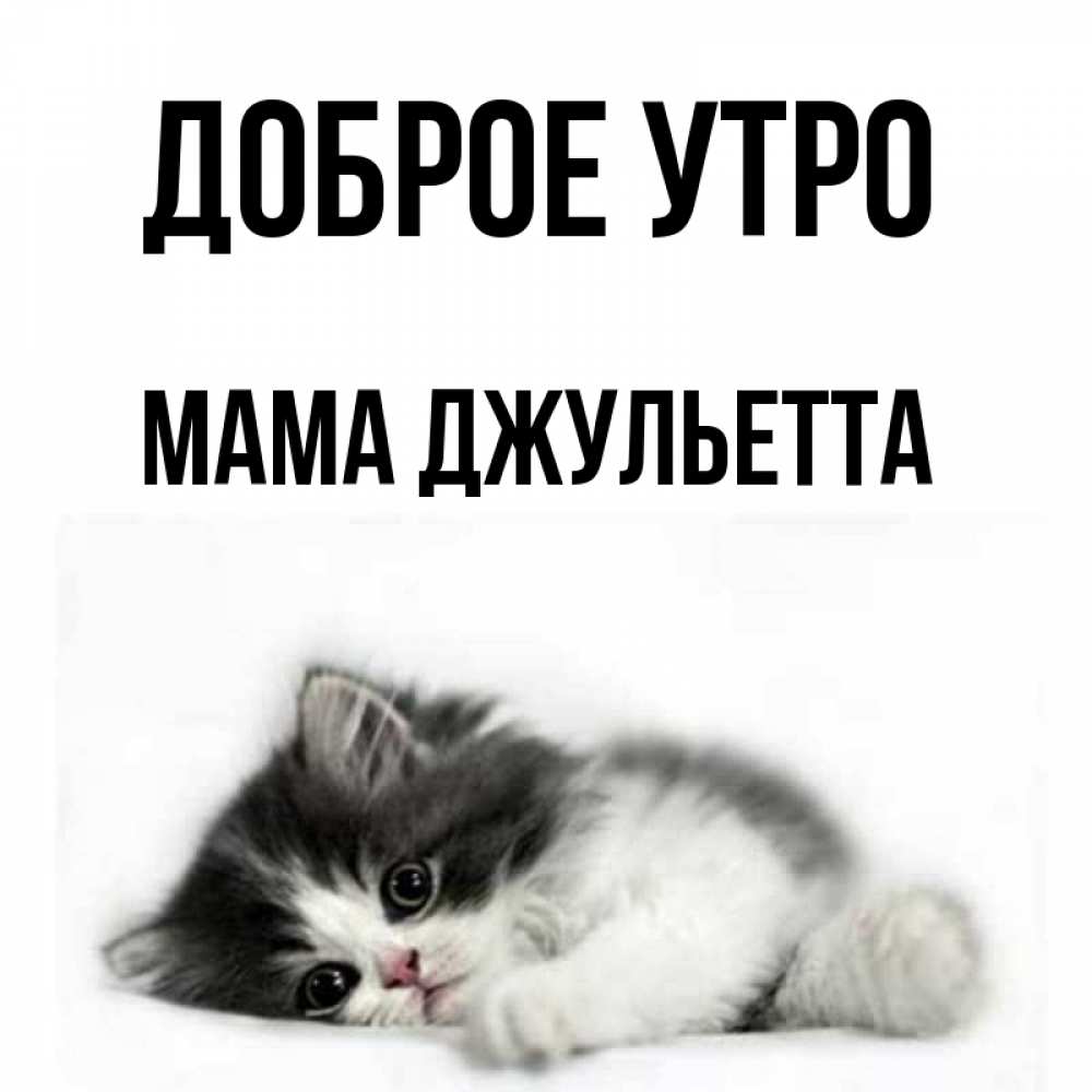 Открытка на каждый день с именем, Мама-Джульетта Доброе утро кот лапки Прикольная открытка с пожеланием онлайн скачать бесплатно 