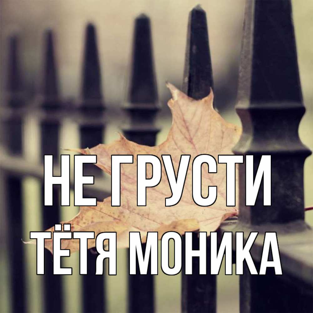 Открытка на каждый день с именем, Тётя-Моника Не грусти лист клена Прикольная открытка с пожеланием онлайн скачать бесплатно 
