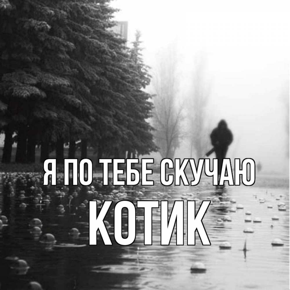 Открытка на каждый день с именем, Котик Я по тебе скучаю приходи Прикольная открытка с пожеланием онлайн скачать бесплатно 