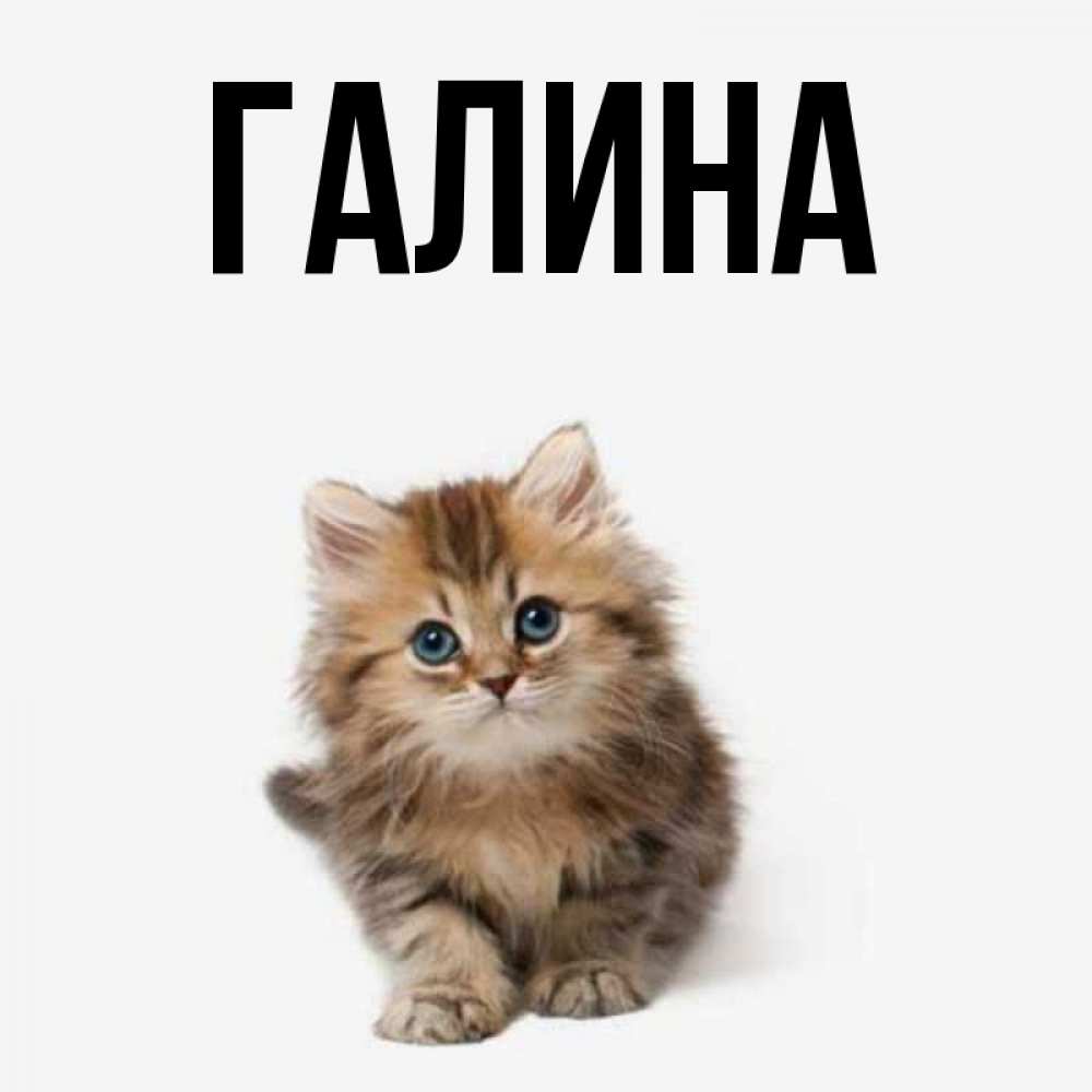 Картинка  с именем , Галина