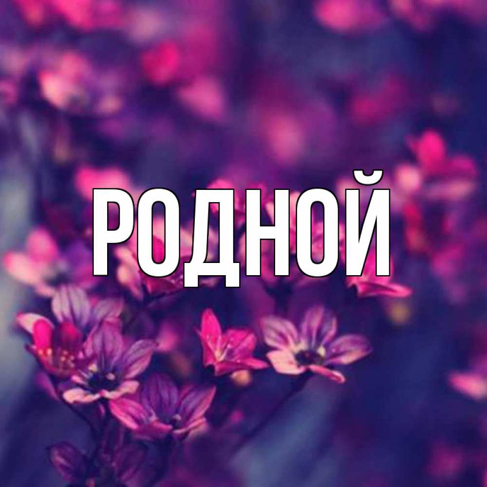 Имя родная. Имя родная. Имя родная. Имя родная. Имя родная.