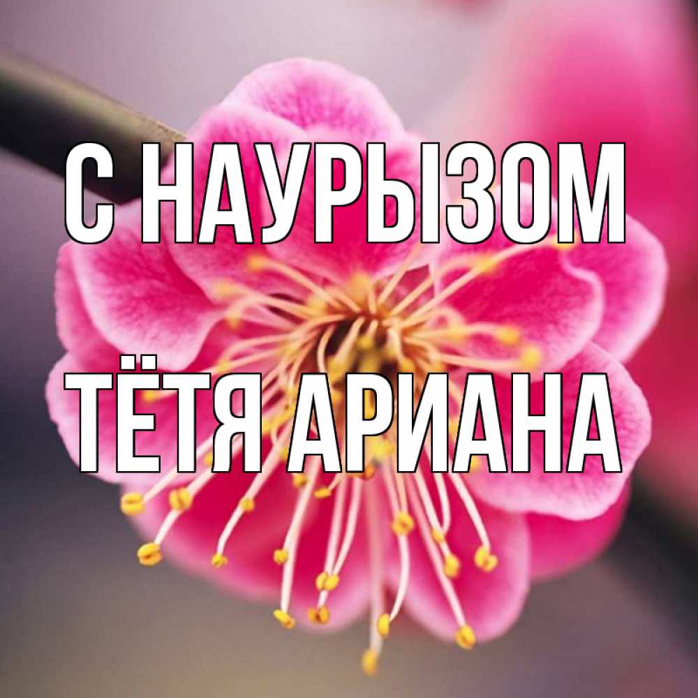 Открытка на каждый день с именем, Тётя-Ариана С наурызом цветы Прикольная открытка с пожеланием онлайн скачать бесплатно 