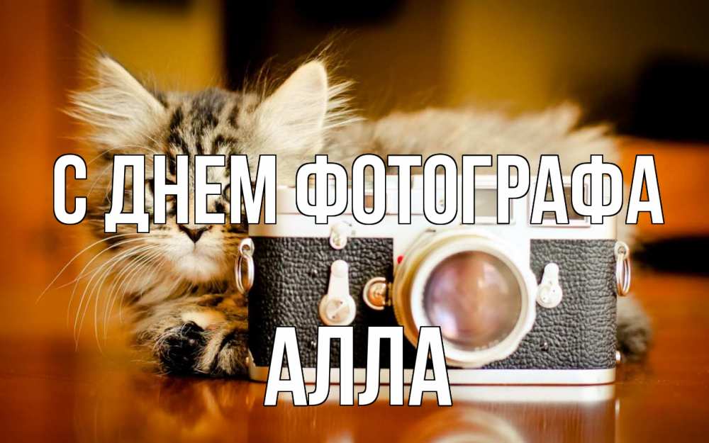 Открытка на каждый день с именем, Алла С днем фотографа с днем фотографа Прикольная открытка с пожеланием онлайн скачать бесплатно 