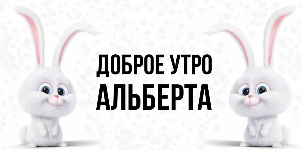 Открытка на каждый день с именем, Альберта Доброе утро кролики с длинными ушками Прикольная открытка с пожеланием онлайн скачать бесплатно 