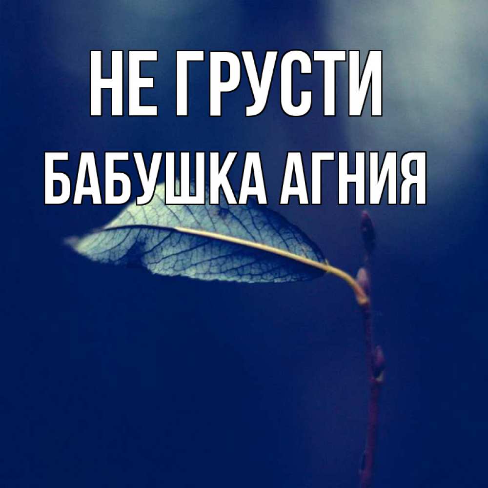 Открытка на каждый день с именем, Бабушка-Агния Не грусти растение Прикольная открытка с пожеланием онлайн скачать бесплатно 