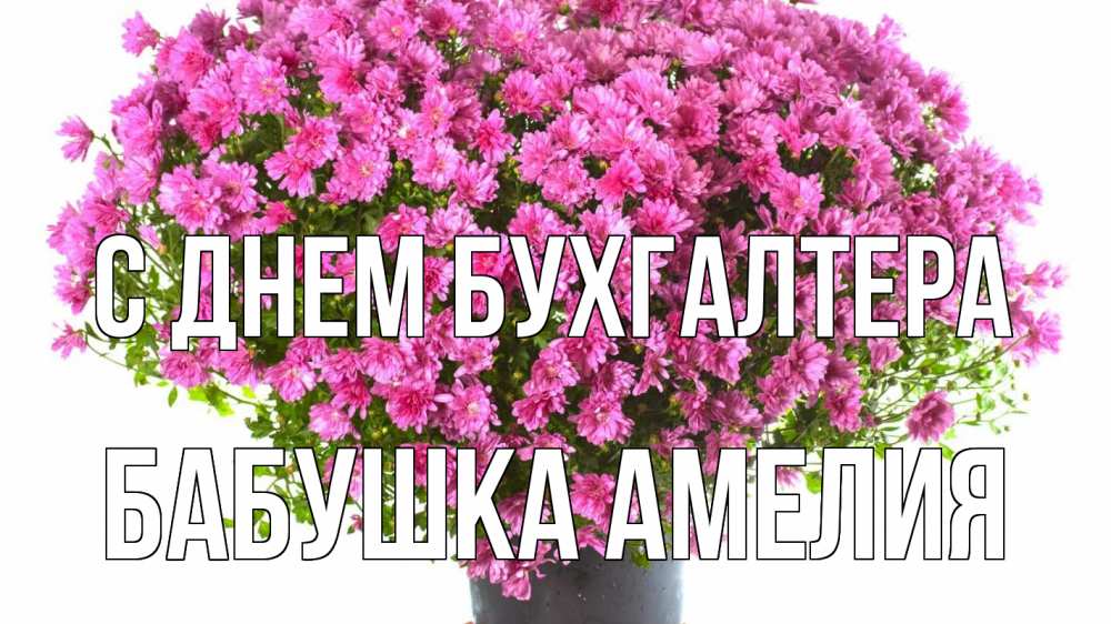 Открытка на каждый день с именем, Бабушка-Амелия С днем бухгалтера с днем бухгалтера Прикольная открытка с пожеланием онлайн скачать бесплатно 