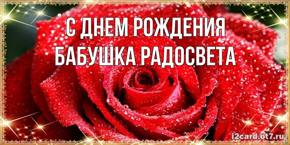 Открытка на каждый день с именем, Бабушка-Радосвета С днем рождения роса и роза. открытка с красивой розой Прикольная открытка с пожеланием онлайн скачать бесплатно 