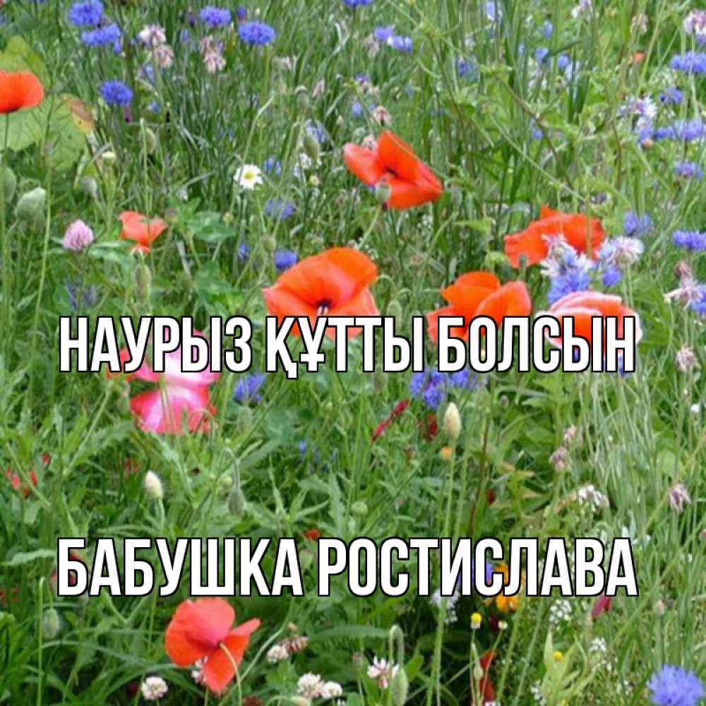 Открытка на каждый день с именем, Бабушка-Ростислава Наурыз құтты болсын наурыз  4 Прикольная открытка с пожеланием онлайн скачать бесплатно 