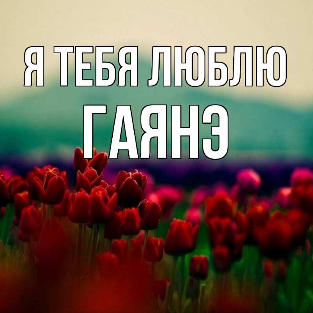 Открытка на каждый день с именем, Гаянэ Я тебя люблю тюльпаны 4 Прикольная открытка с пожеланием онлайн скачать бесплатно 