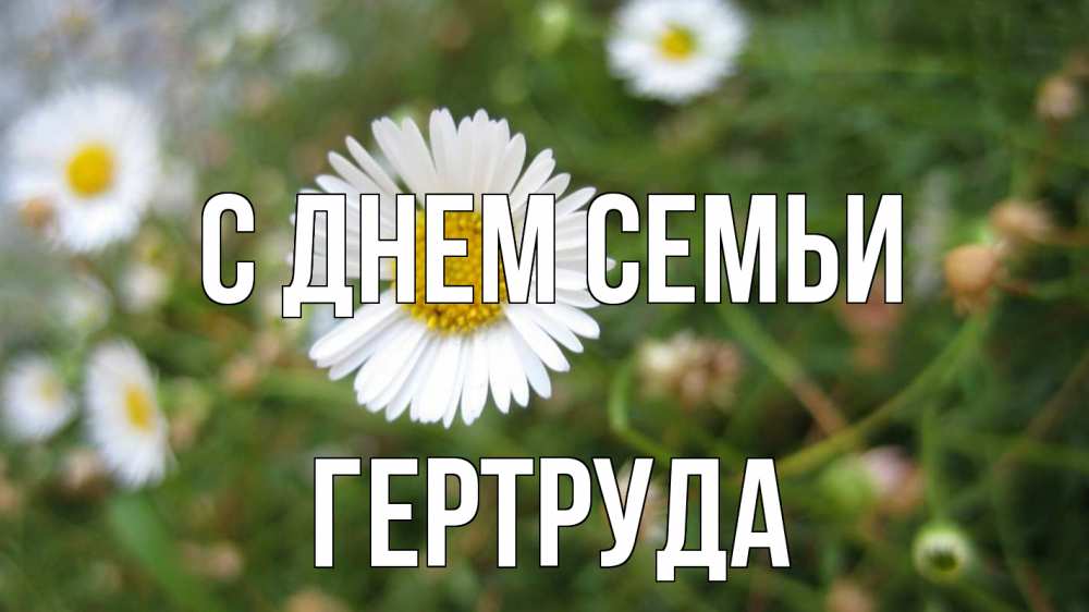Открытка на каждый день с именем, Гертруда С днем семьи с днем семьи Прикольная открытка с пожеланием онлайн скачать бесплатно 