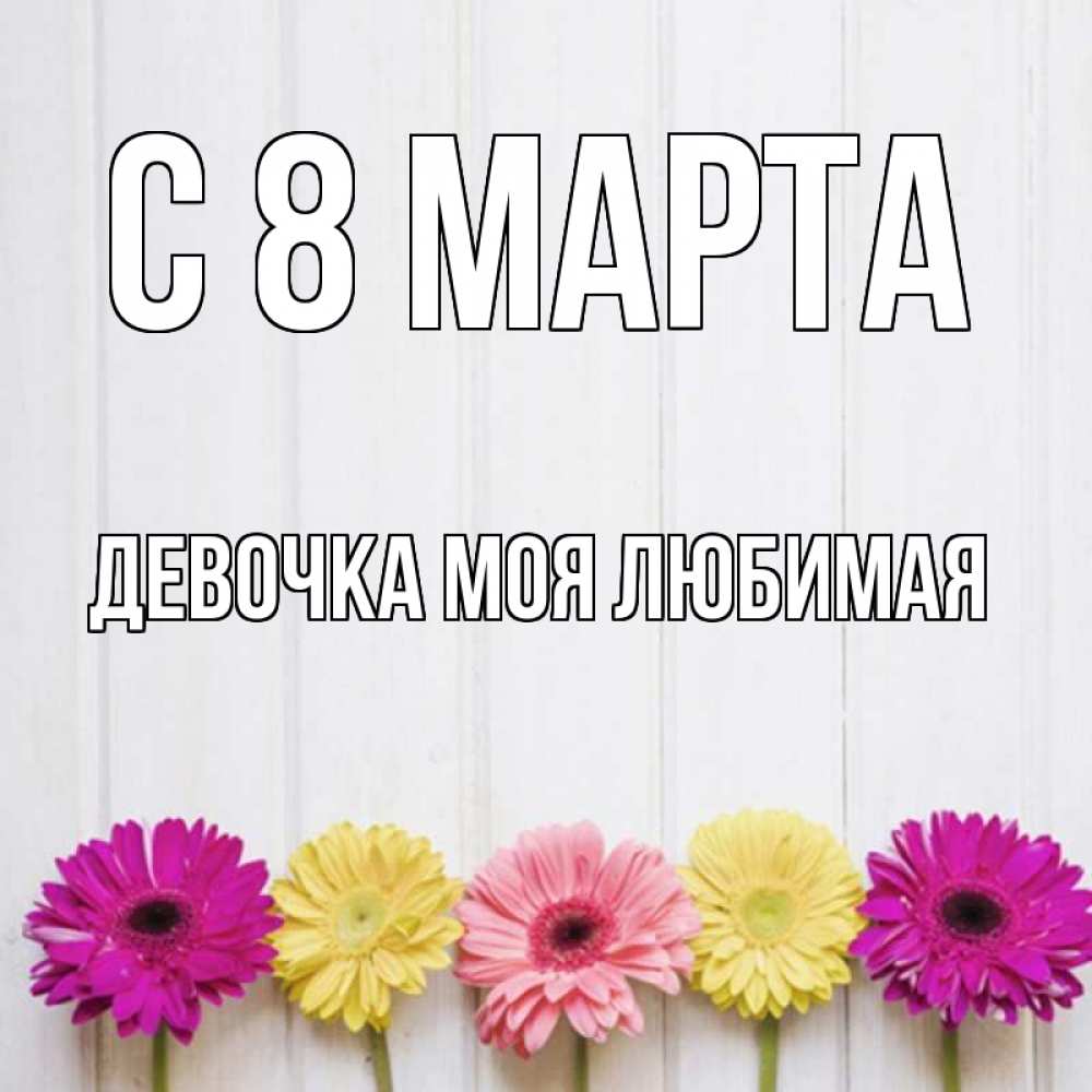Открытка на каждый день с именем, Девочка-моя-любимая С 8 марта женщинам 1 Прикольная открытка с пожеланием онлайн скачать бесплатно 