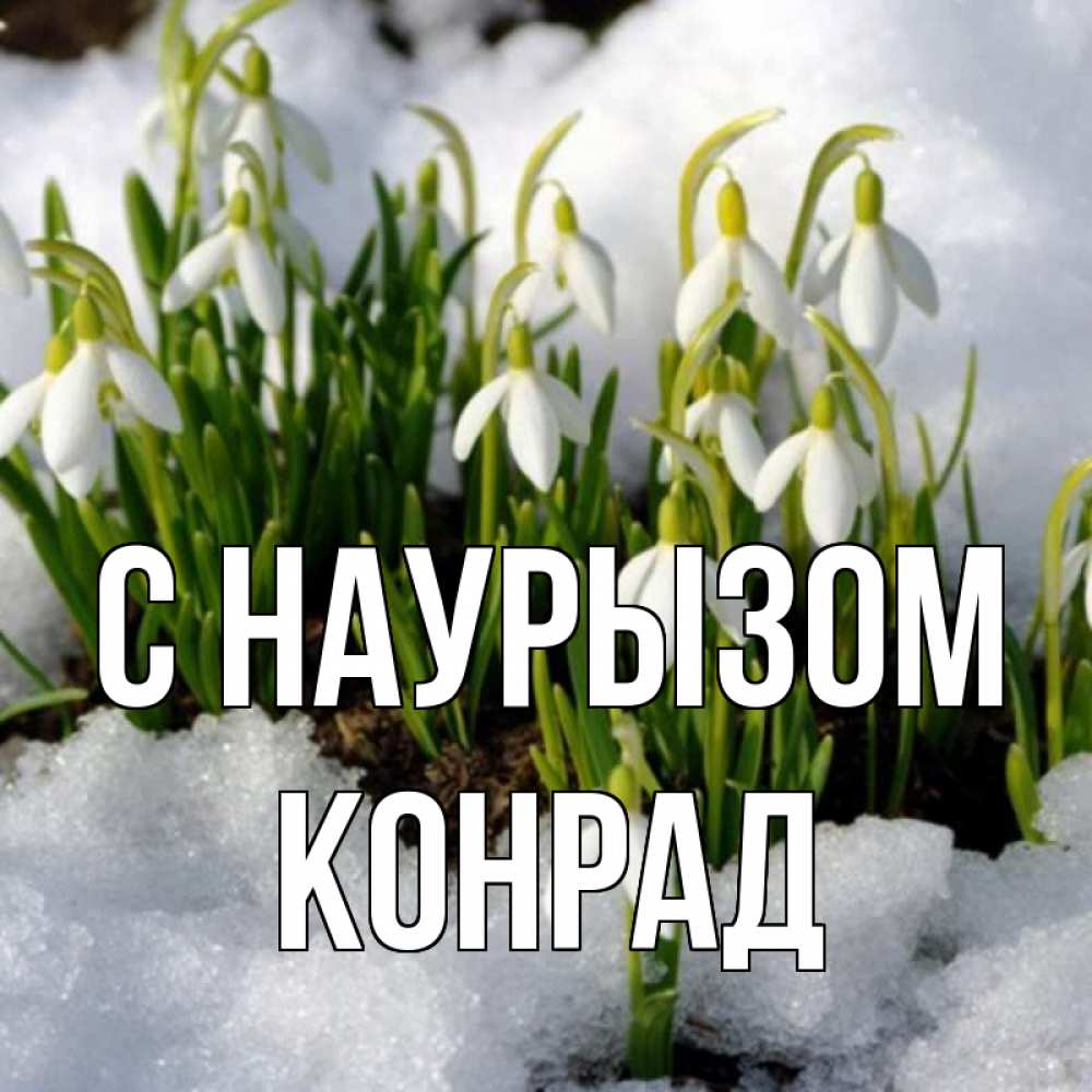 Открытка на каждый день с именем, Конрад С наурызом цветы весенние Прикольная открытка с пожеланием онлайн скачать бесплатно 