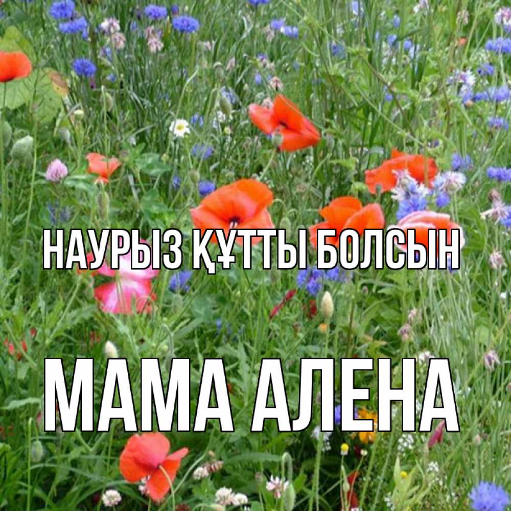 Открытка на каждый день с именем, Мама-Алена Наурыз құтты болсын наурыз  4 Прикольная открытка с пожеланием онлайн скачать бесплатно 