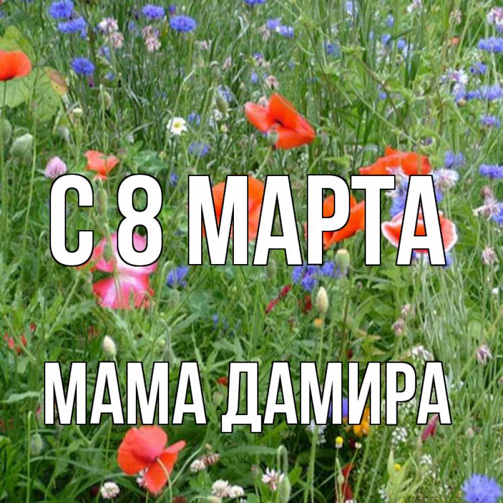 Открытка на каждый день с именем, Мама-Дамира С 8 марта международный женский день 4 Прикольная открытка с пожеланием онлайн скачать бесплатно 