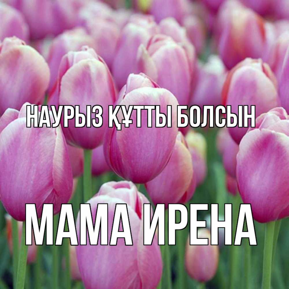 Открытка на каждый день с именем, Мама-Ирена Наурыз құтты болсын на наурыз  день 3 Прикольная открытка с пожеланием онлайн скачать бесплатно 