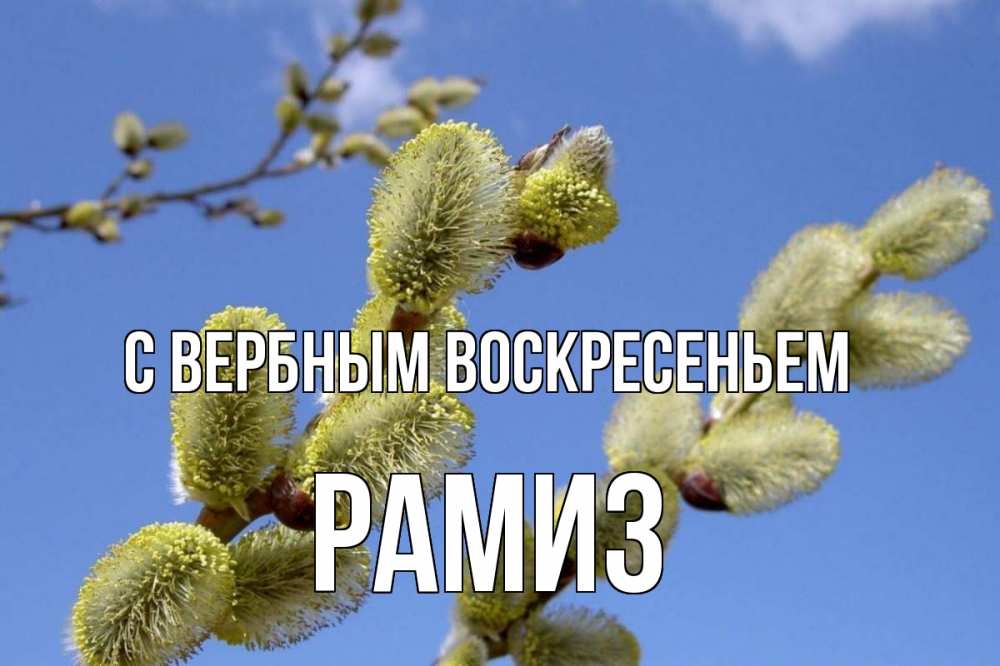 Открытка на каждый день с именем, Рамиз С вербным воскресеньем верба Прикольная открытка с пожеланием онлайн скачать бесплатно 
