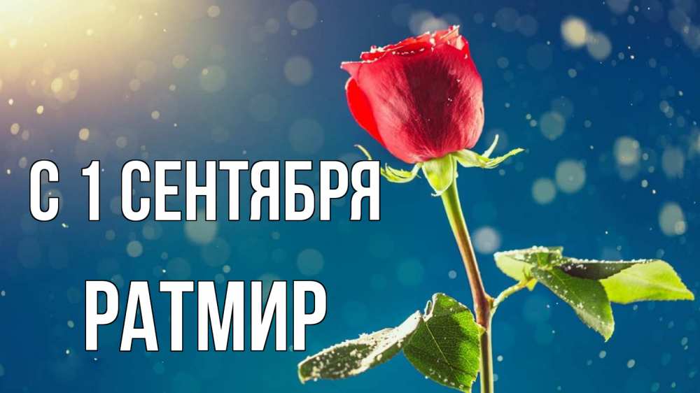 Открытка на каждый день с именем, Ратмир С 1 сентября с днем знаний Прикольная открытка с пожеланием онлайн скачать бесплатно 