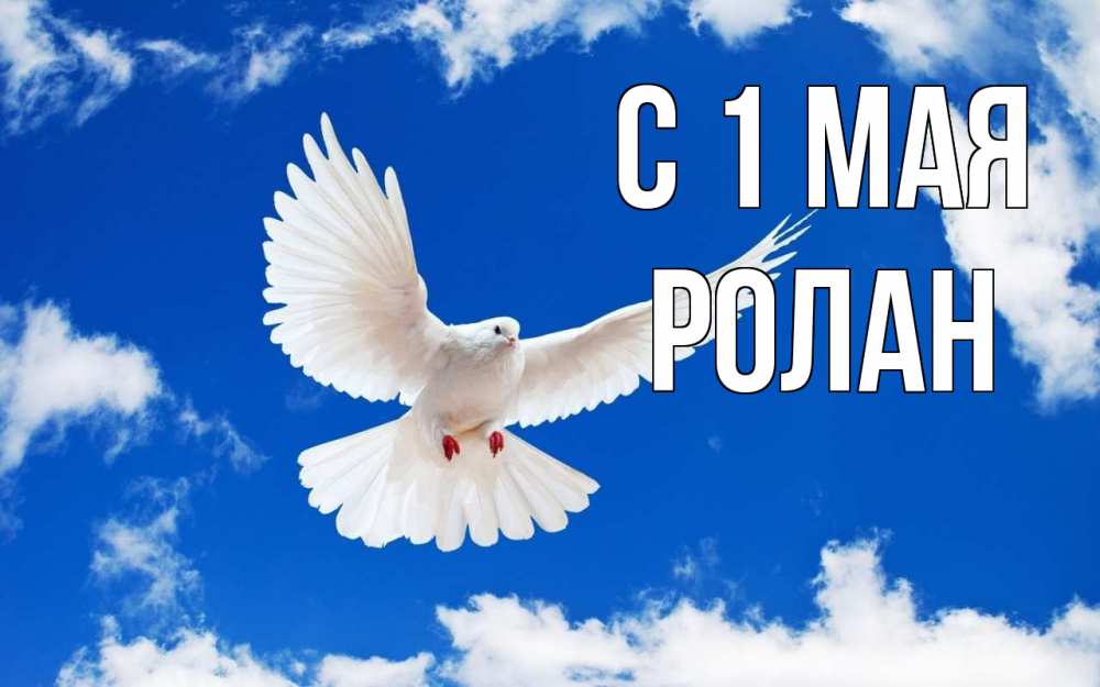 Открытка на каждый день с именем, Ролан С 1 мая С 1 мая 1 Прикольная открытка с пожеланием онлайн скачать бесплатно 