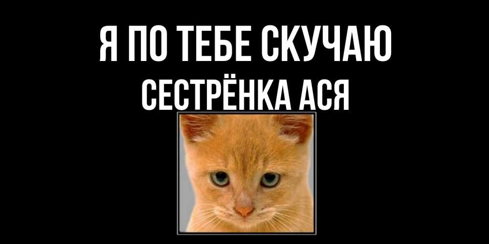 Открытка на каждый день с именем, Сестрёнка-Ася Я по тебе скучаю открытки рыжий котенок скучает по тебе Прикольная открытка с пожеланием онлайн скачать бесплатно 