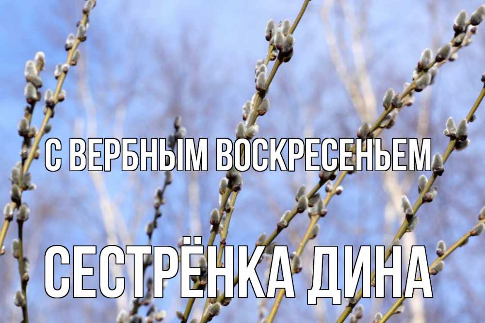 Открытка на каждый день с именем, Сестрёнка-Дина С вербным воскресеньем верба Прикольная открытка с пожеланием онлайн скачать бесплатно 