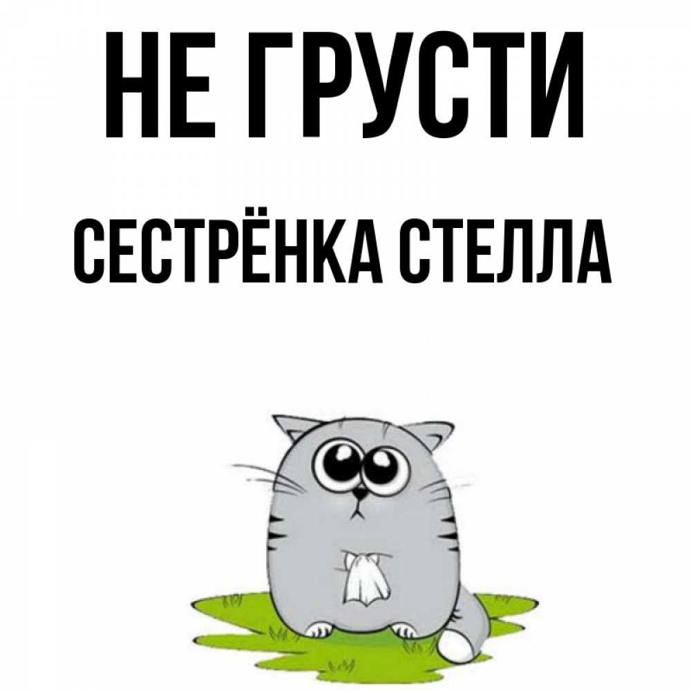 Открытка на каждый день с именем, Сестрёнка-Стелла Не грусти грустный котяра Прикольная открытка с пожеланием онлайн скачать бесплатно 