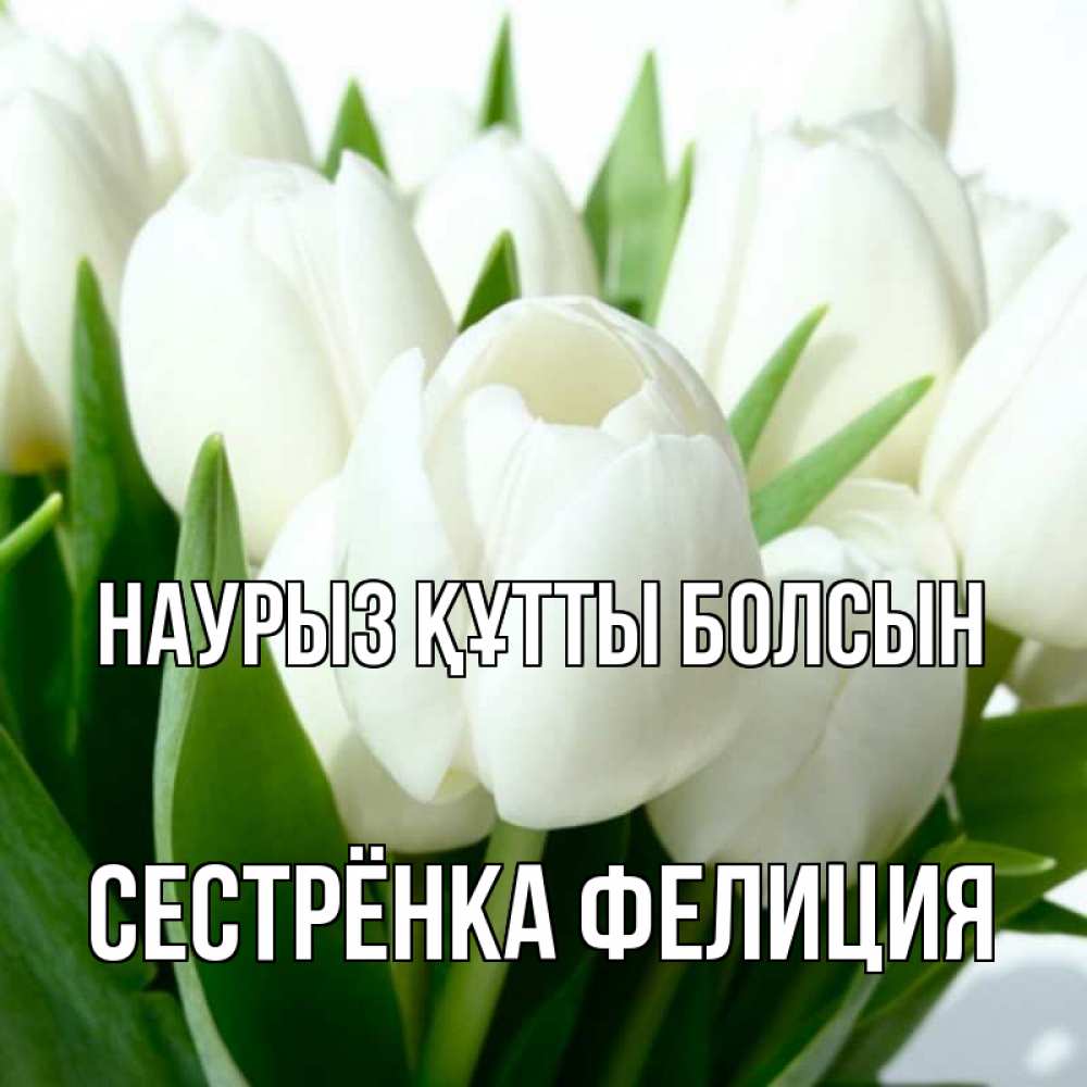 Открытка на каждый день с именем, Сестрёнка-Фелиция Наурыз құтты болсын цветы Прикольная открытка с пожеланием онлайн скачать бесплатно 