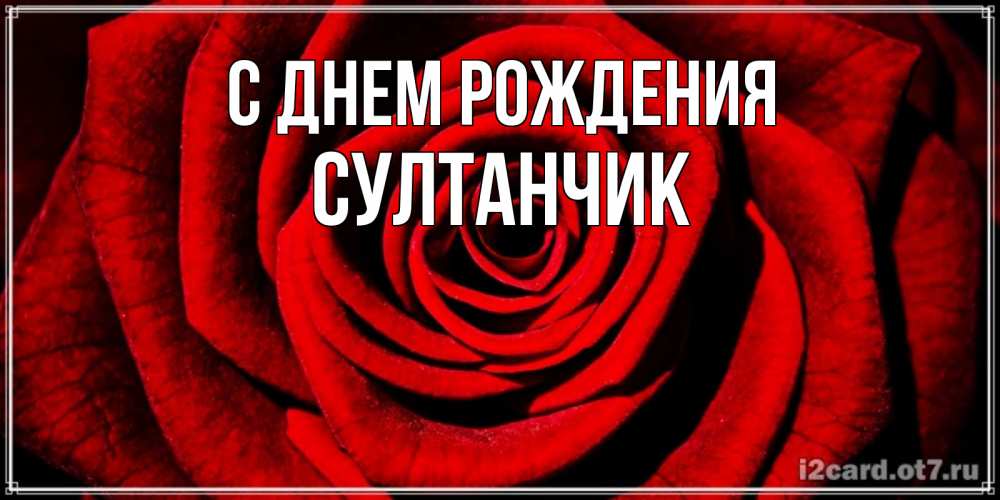 Открытка на каждый день с именем, Султанчик С днем рождения алая роза Прикольная открытка с пожеланием онлайн скачать бесплатно 