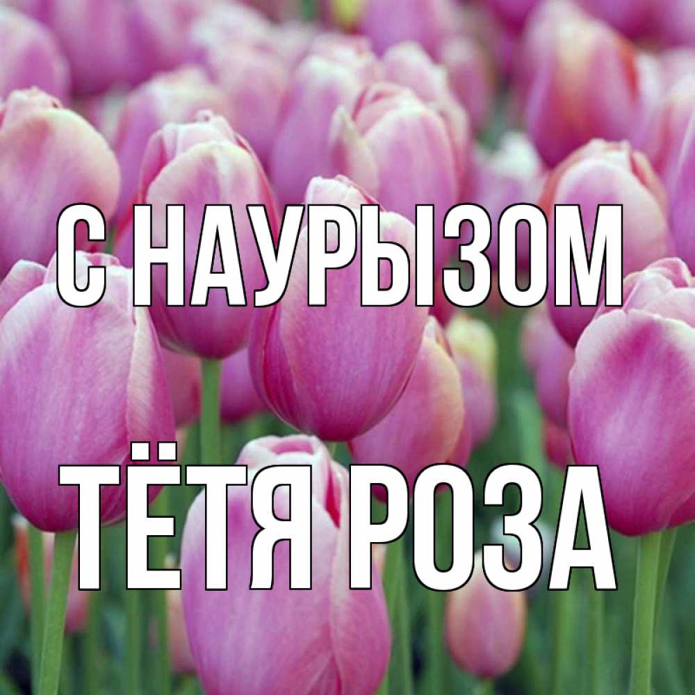Открытка на каждый день с именем, Тётя-Роза С наурызом праздник весны наурыз 69 Прикольная открытка с пожеланием онлайн скачать бесплатно 