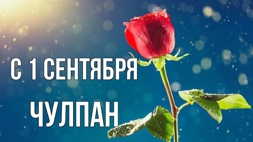 Открытка на каждый день с именем, Чулпан С 1 сентября с днем знаний Прикольная открытка с пожеланием онлайн скачать бесплатно 