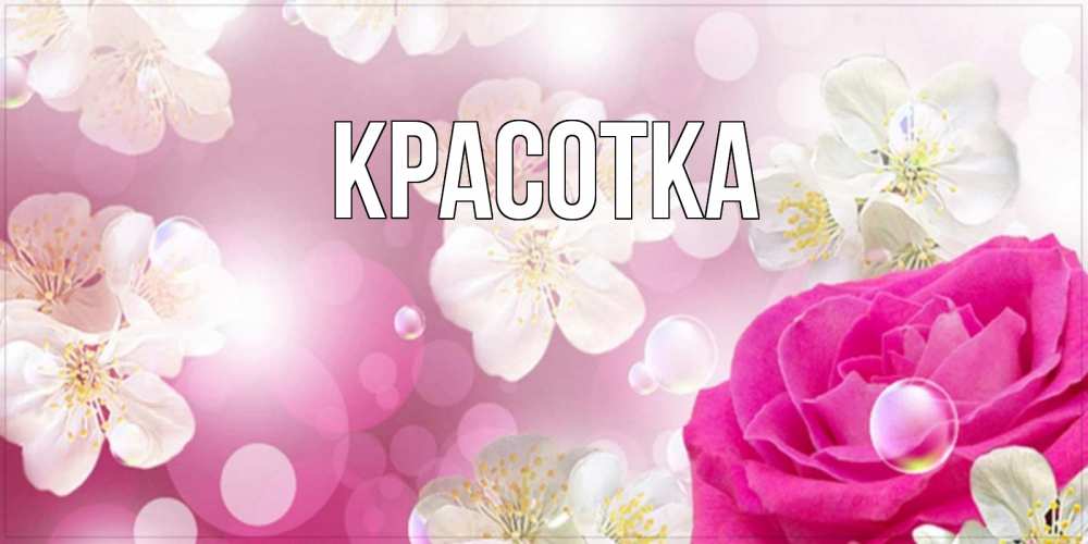 Открытка на каждый день с именем, красотка Главная красивые цветы Прикольная открытка с пожеланием онлайн скачать бесплатно 