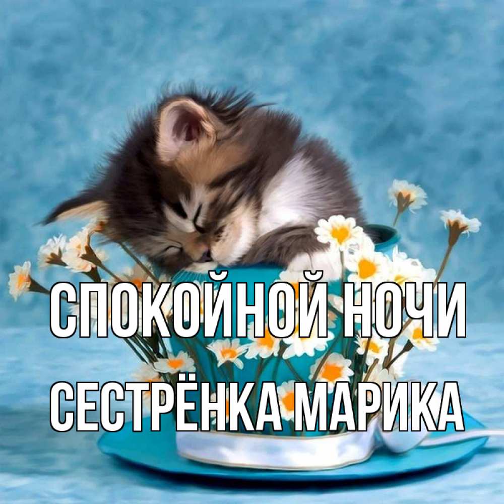 Открытка на каждый день с именем, Сестрёнка-Марика Спокойной ночи котенок спит в кружке с блюдцем Прикольная открытка с пожеланием онлайн скачать бесплатно 