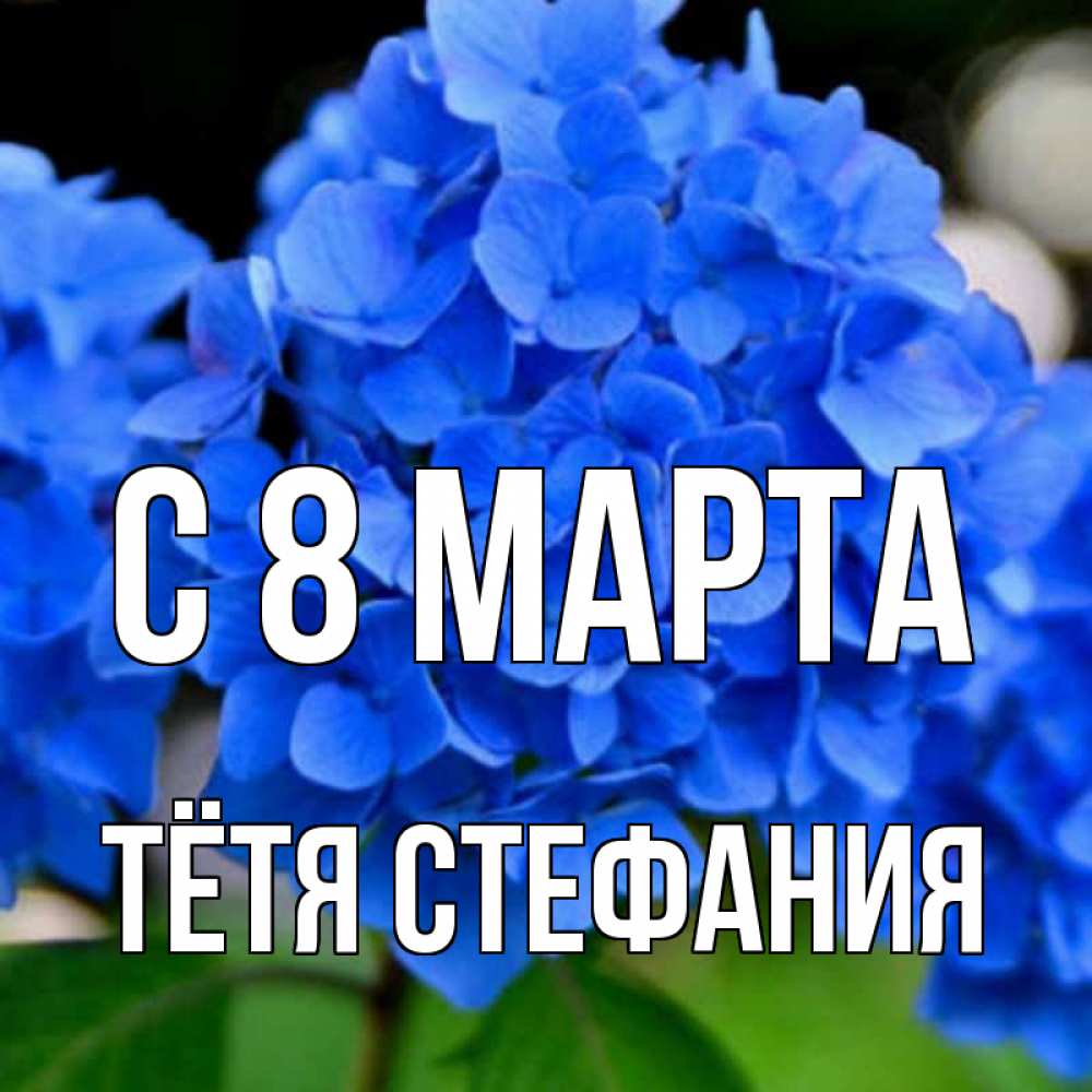 Открытка на каждый день с именем, Тётя-Стефания С 8 МАРТА синие цветы Прикольная открытка с пожеланием онлайн скачать бесплатно 