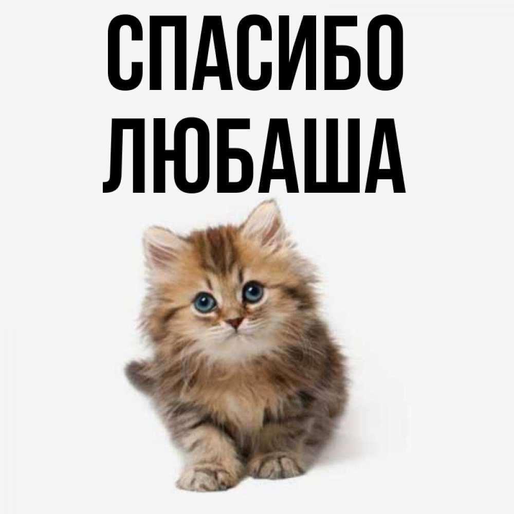 Спасибо люба открытка