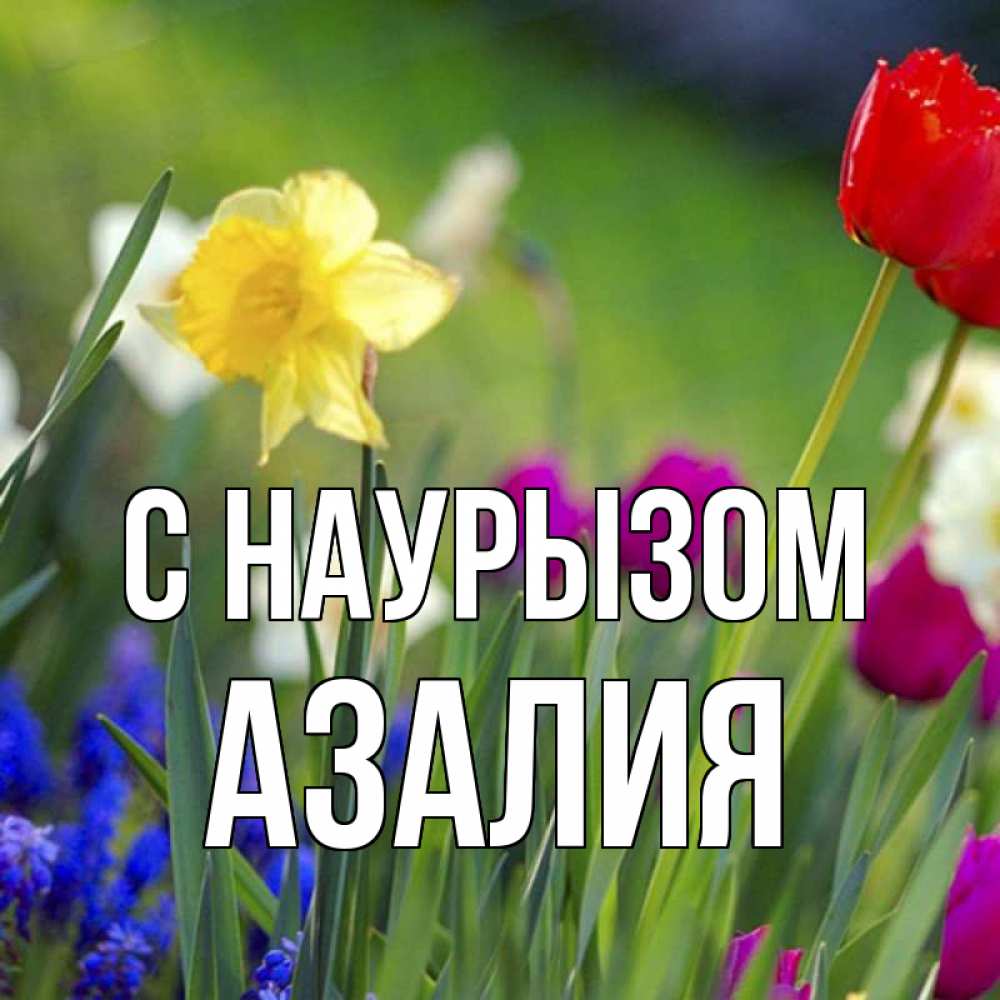 Открытка на каждый день с именем, Азалия С наурызом праздник весны наурыз 3 Прикольная открытка с пожеланием онлайн скачать бесплатно 