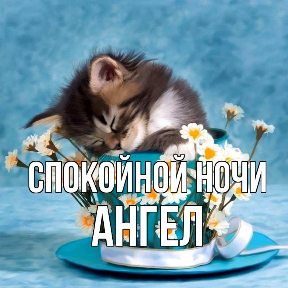Открытка на каждый день с именем, Ангел Спокойной ночи котенок спит в кружке с блюдцем Прикольная открытка с пожеланием онлайн скачать бесплатно 