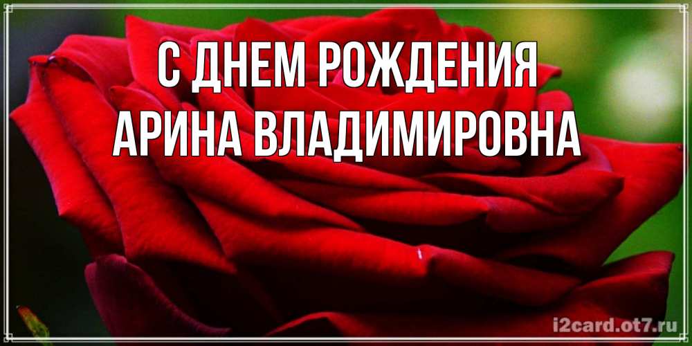 Открытка на каждый день с именем, Арина-Владимировна С днем рождения розочка очень красивая Прикольная открытка с пожеланием онлайн скачать бесплатно 