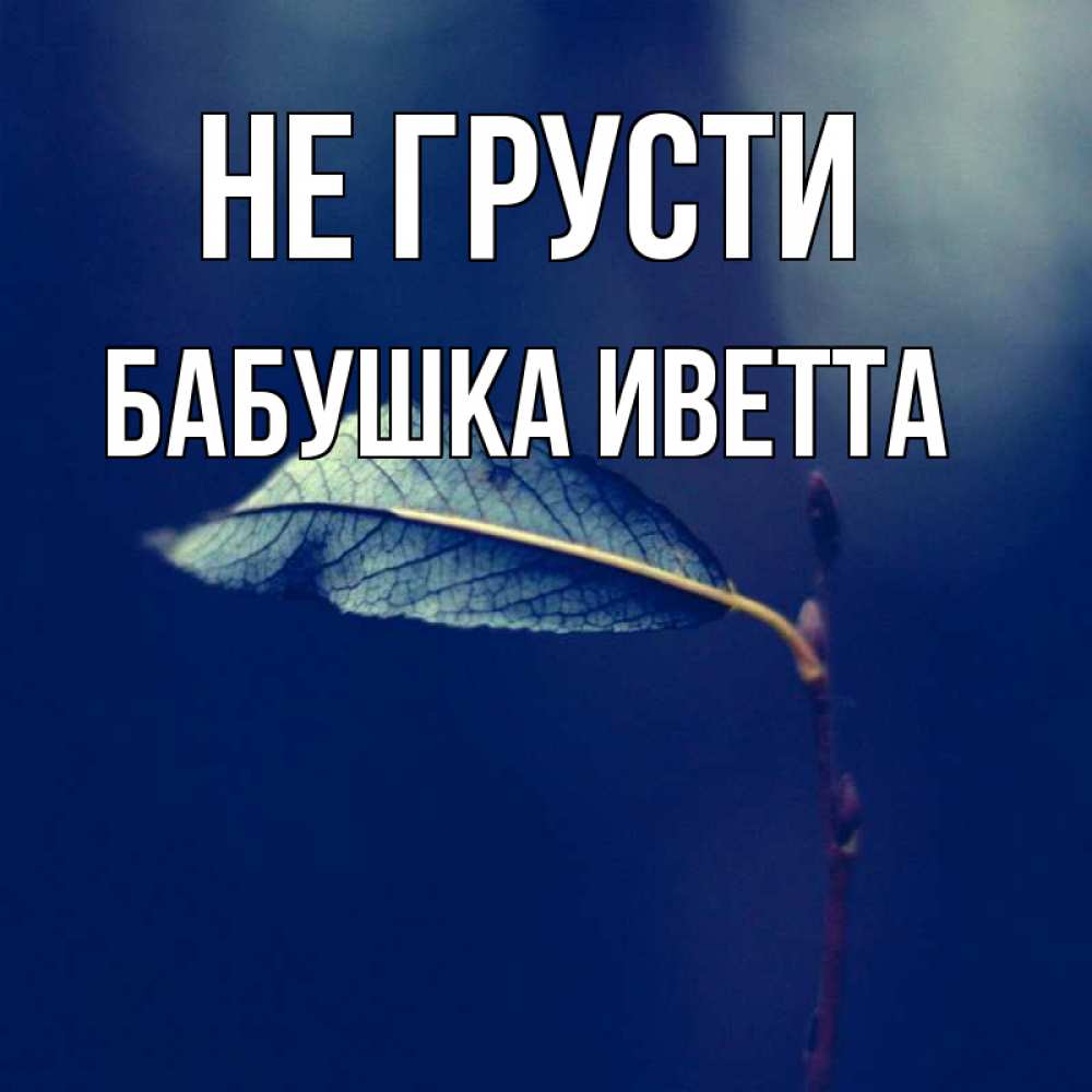 Открытка на каждый день с именем, Бабушка-Иветта Не грусти растение Прикольная открытка с пожеланием онлайн скачать бесплатно 