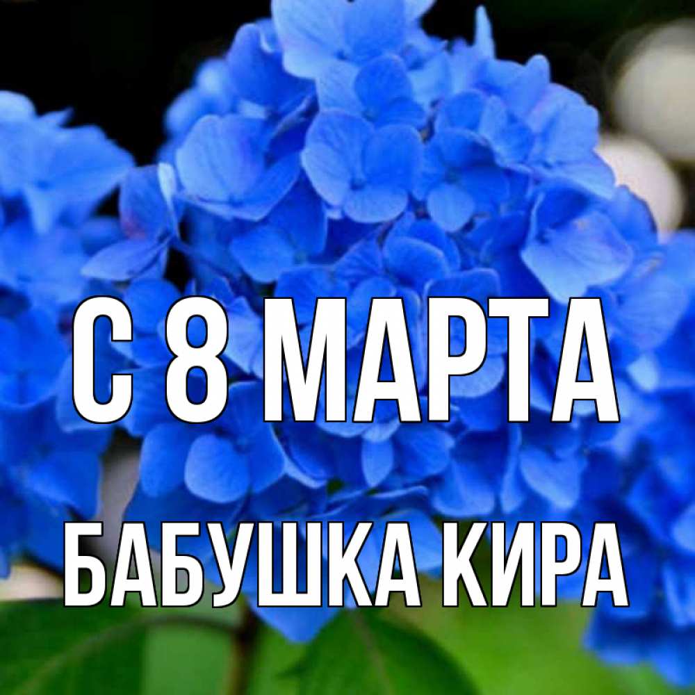 Открытка на каждый день с именем, Бабушка-Кира С 8 МАРТА синие цветы Прикольная открытка с пожеланием онлайн скачать бесплатно 