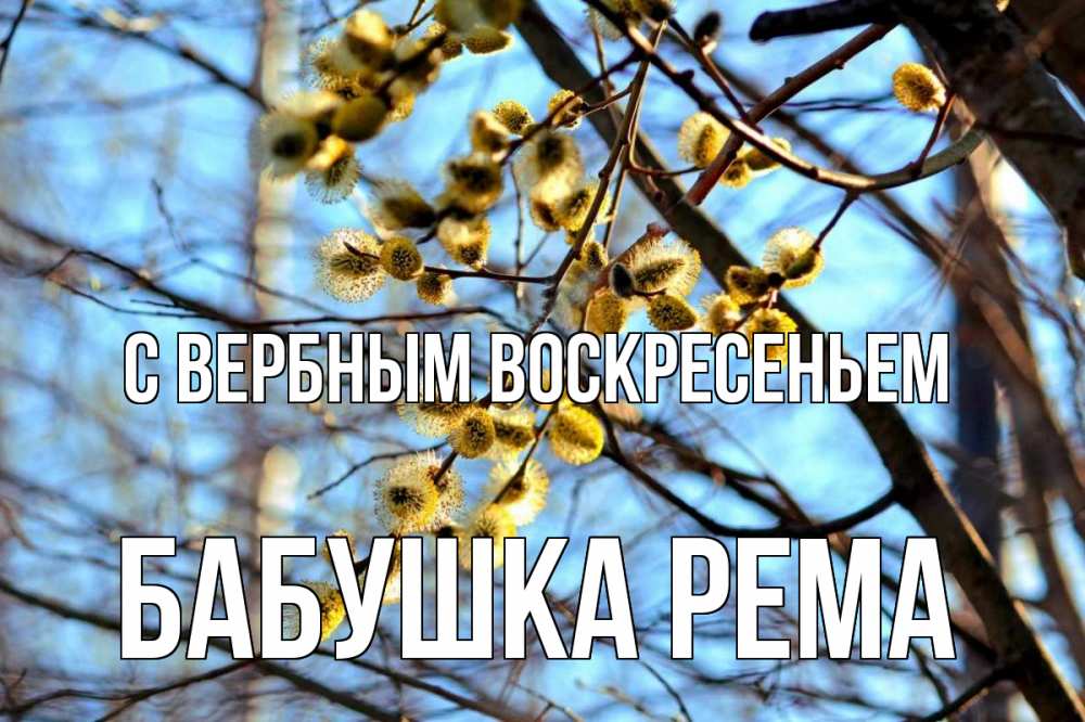 Открытка на каждый день с именем, Бабушка-Рема С вербным воскресеньем верба Прикольная открытка с пожеланием онлайн скачать бесплатно 