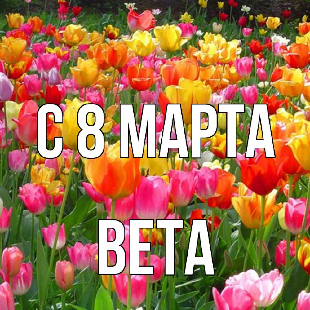 Открытка на каждый день с именем, Вета С 8 МАРТА на международный женский день Прикольная открытка с пожеланием онлайн скачать бесплатно 