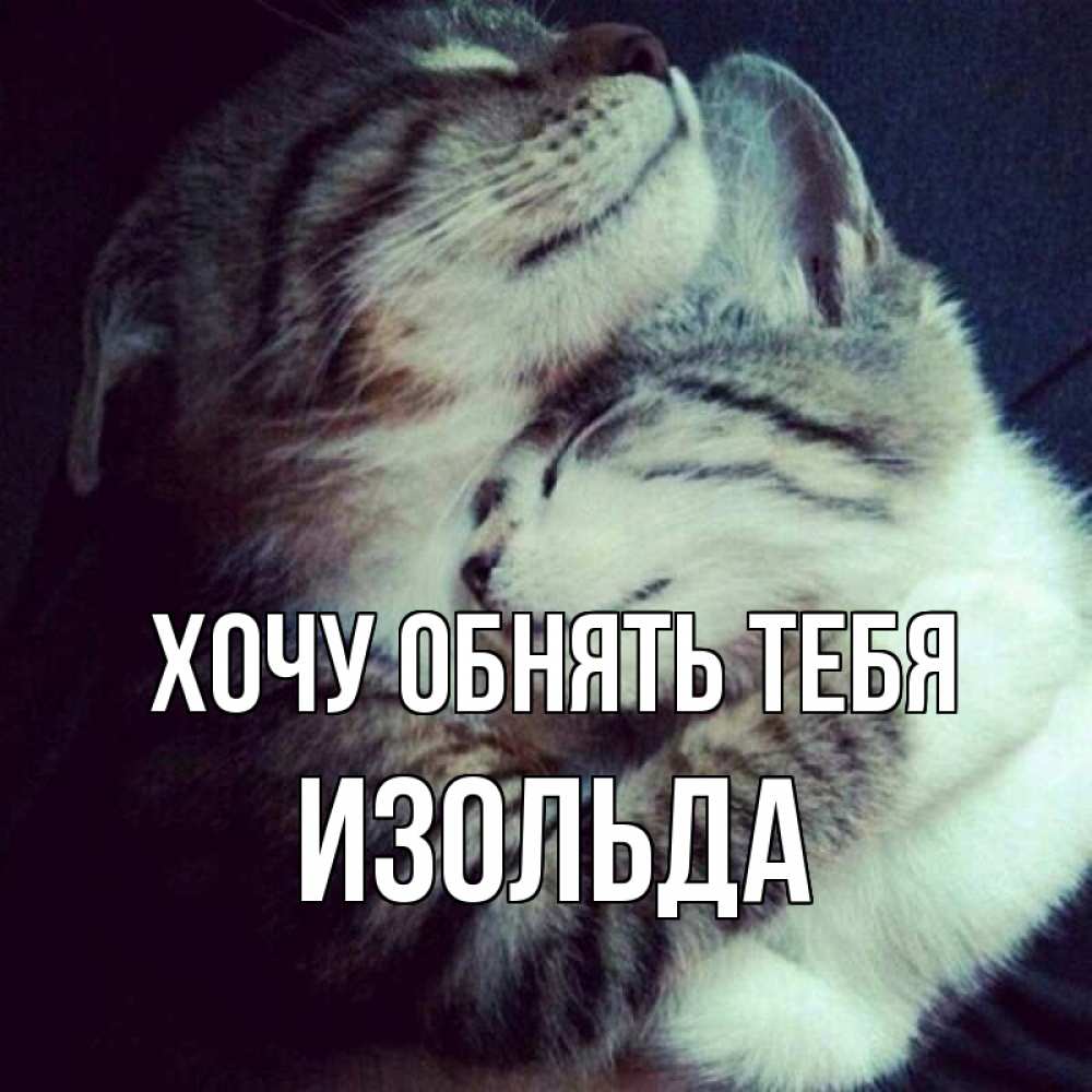 Открытка на каждый день с именем, Изольда Хочу обнять тебя полосатики Прикольная открытка с пожеланием онлайн скачать бесплатно 