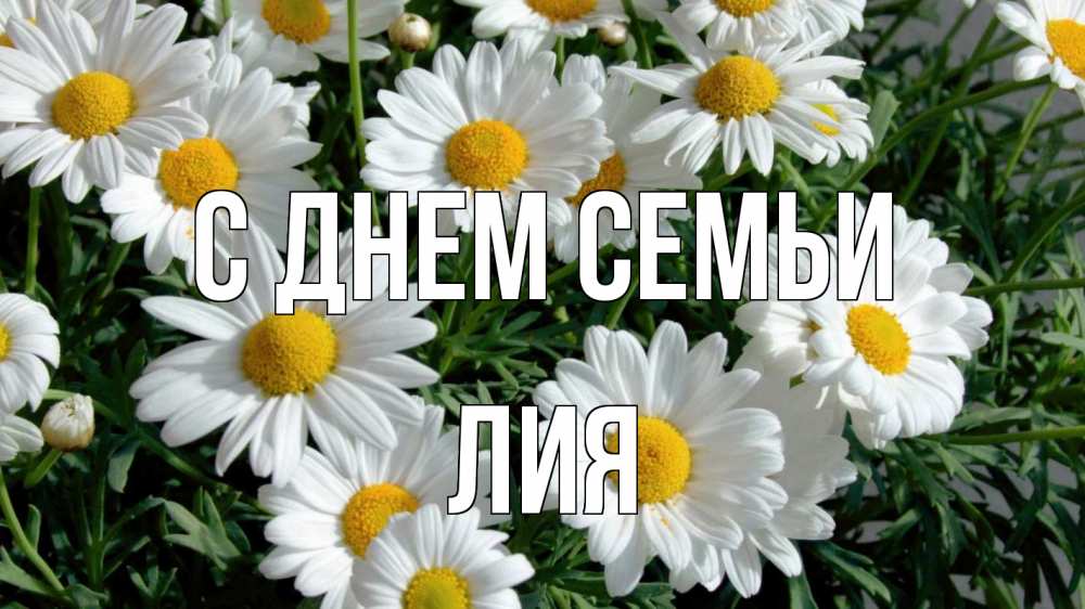 Открытка на каждый день с именем, Лия С днем семьи с днем семьи Прикольная открытка с пожеланием онлайн скачать бесплатно 