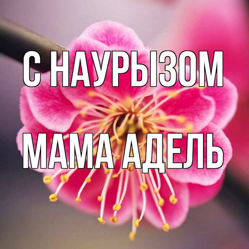 Открытка на каждый день с именем, Мама-Адель С наурызом цветы Прикольная открытка с пожеланием онлайн скачать бесплатно 