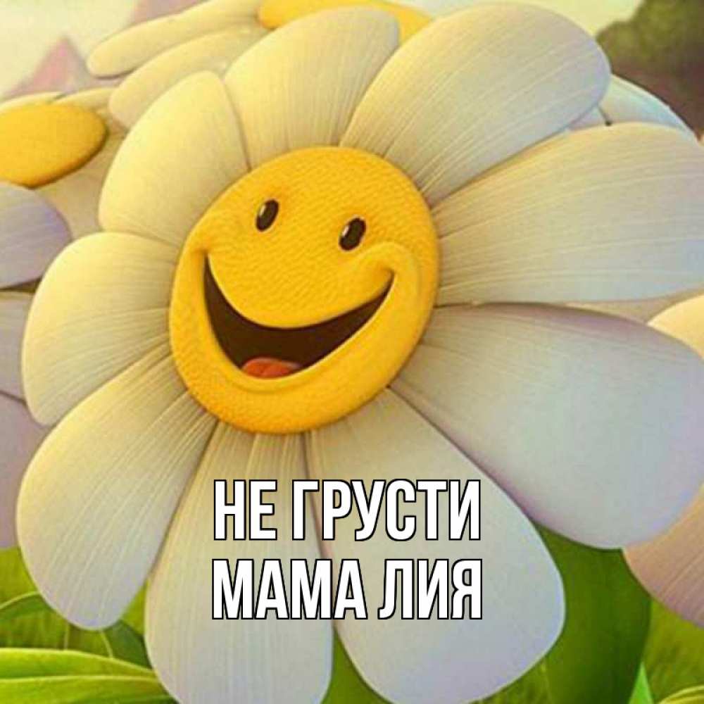 Открытка на каждый день с именем, Мама-Лия Не грусти огромная улыбающаяся ромашуща Прикольная открытка с пожеланием онлайн скачать бесплатно 